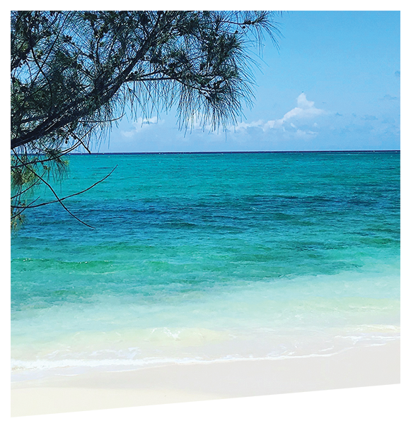 Onze top 5 voor de strandliefhebber