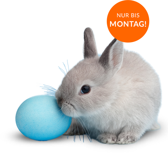 Headerbild